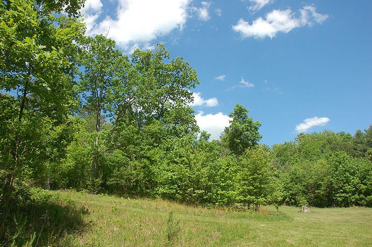 1541 Green Valley Road Peterstown, WV 24963 - Photo 26 of 30 Gallery Image 26