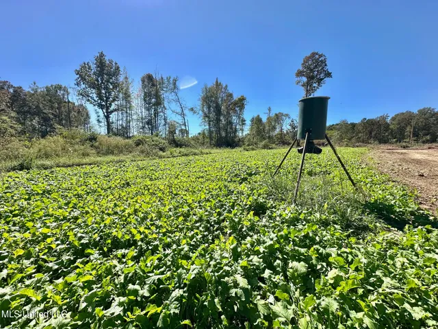 $295,000 | 1008 Pleasant Lane, Wesson, MS 39191