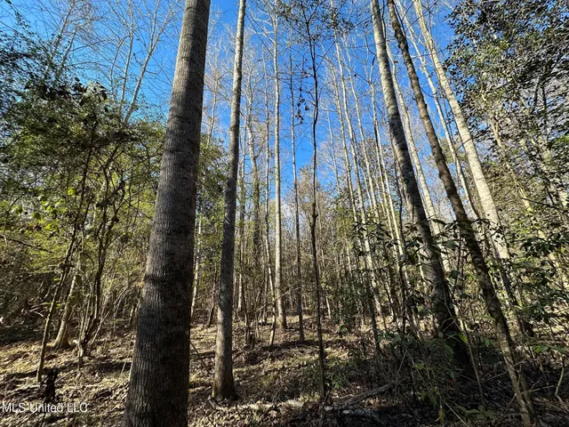 $295,000 | 1008 Pleasant Lane, Wesson, MS 39191