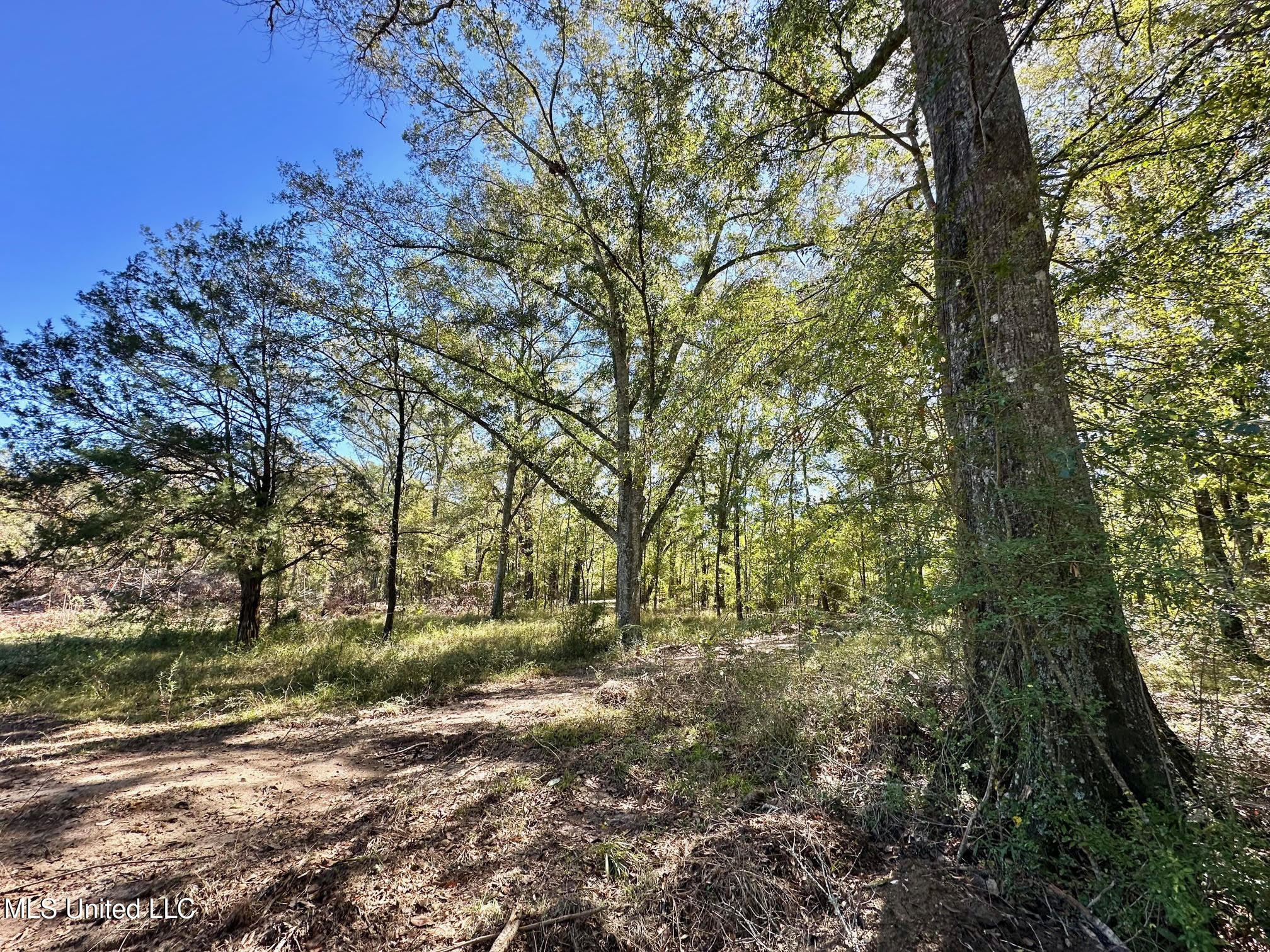 1008 Pleasant Lane Wesson, MS 39191 - Photo 13 of 44 310