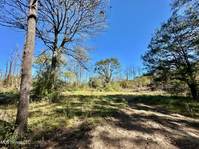 $295,000 | 1008 Pleasant Lane, Wesson, MS 39191