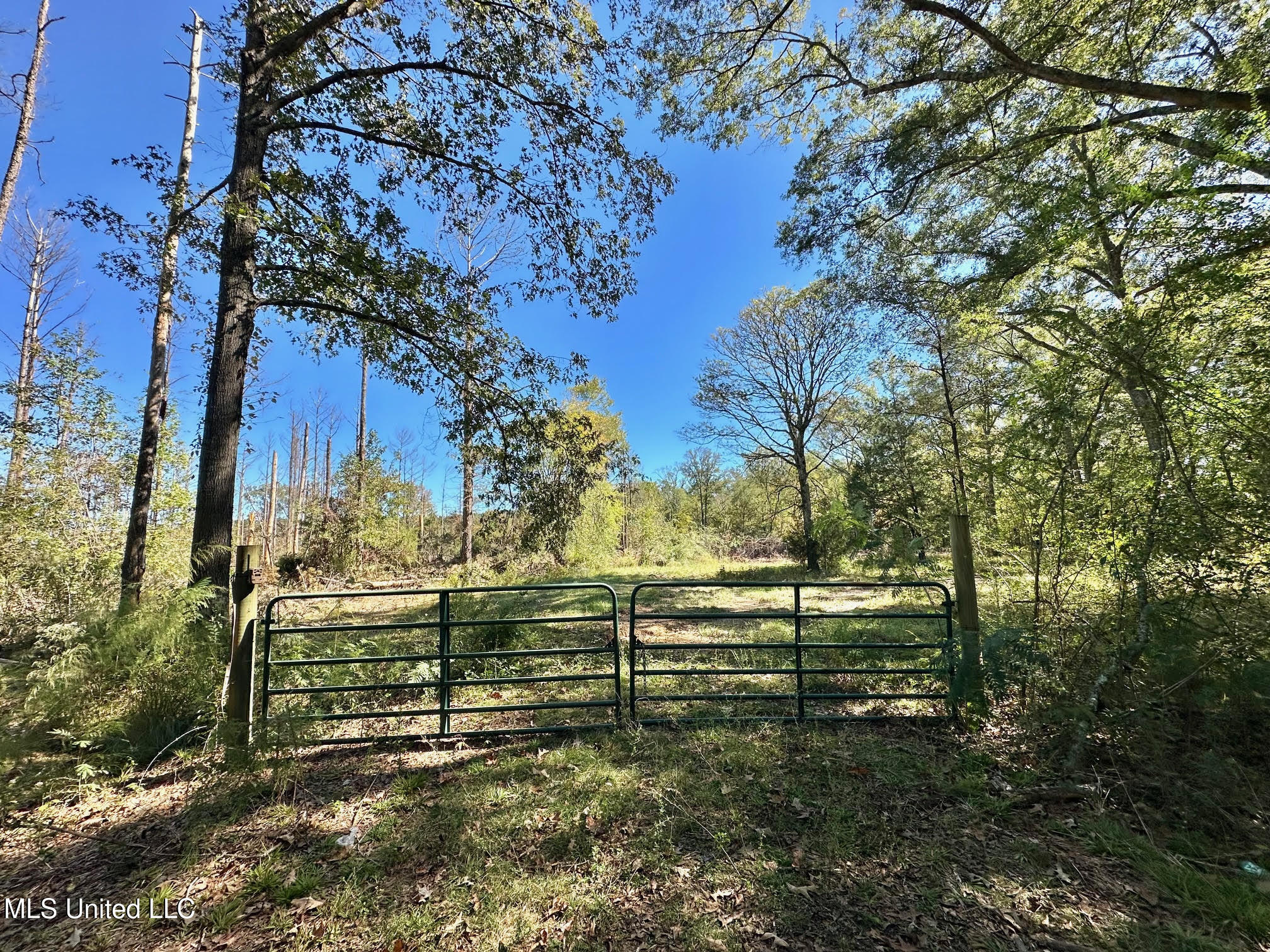 1008 Pleasant Lane Wesson, MS 39191 - Photo 15 of 44 312