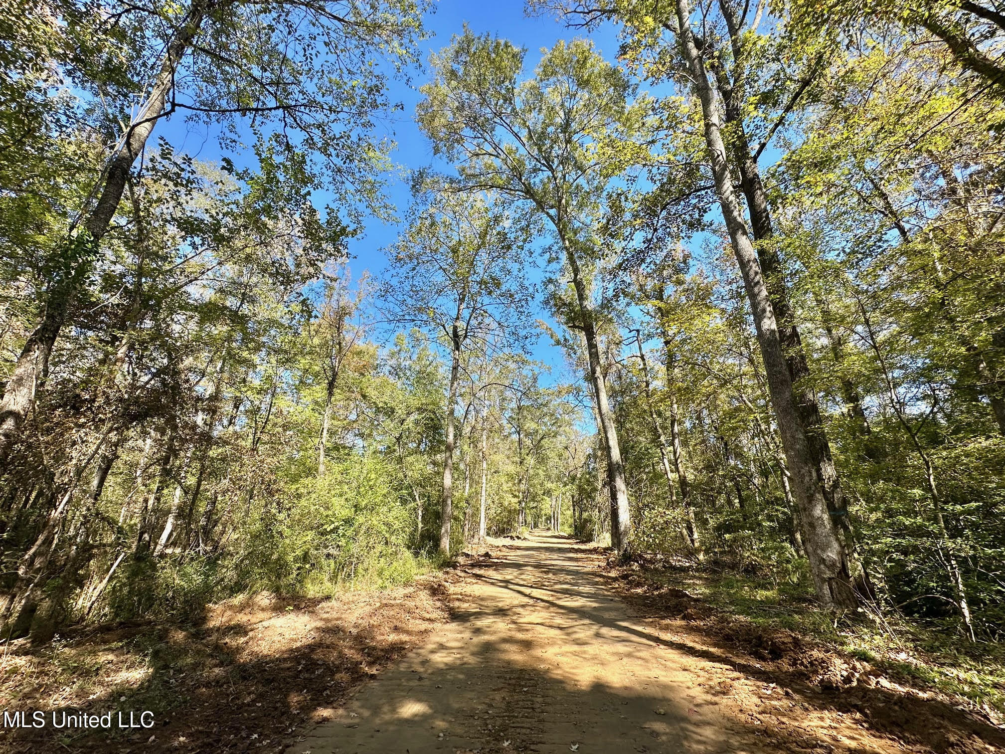 1008 Pleasant Lane Wesson, MS 39191 - Photo 18 of 44 315