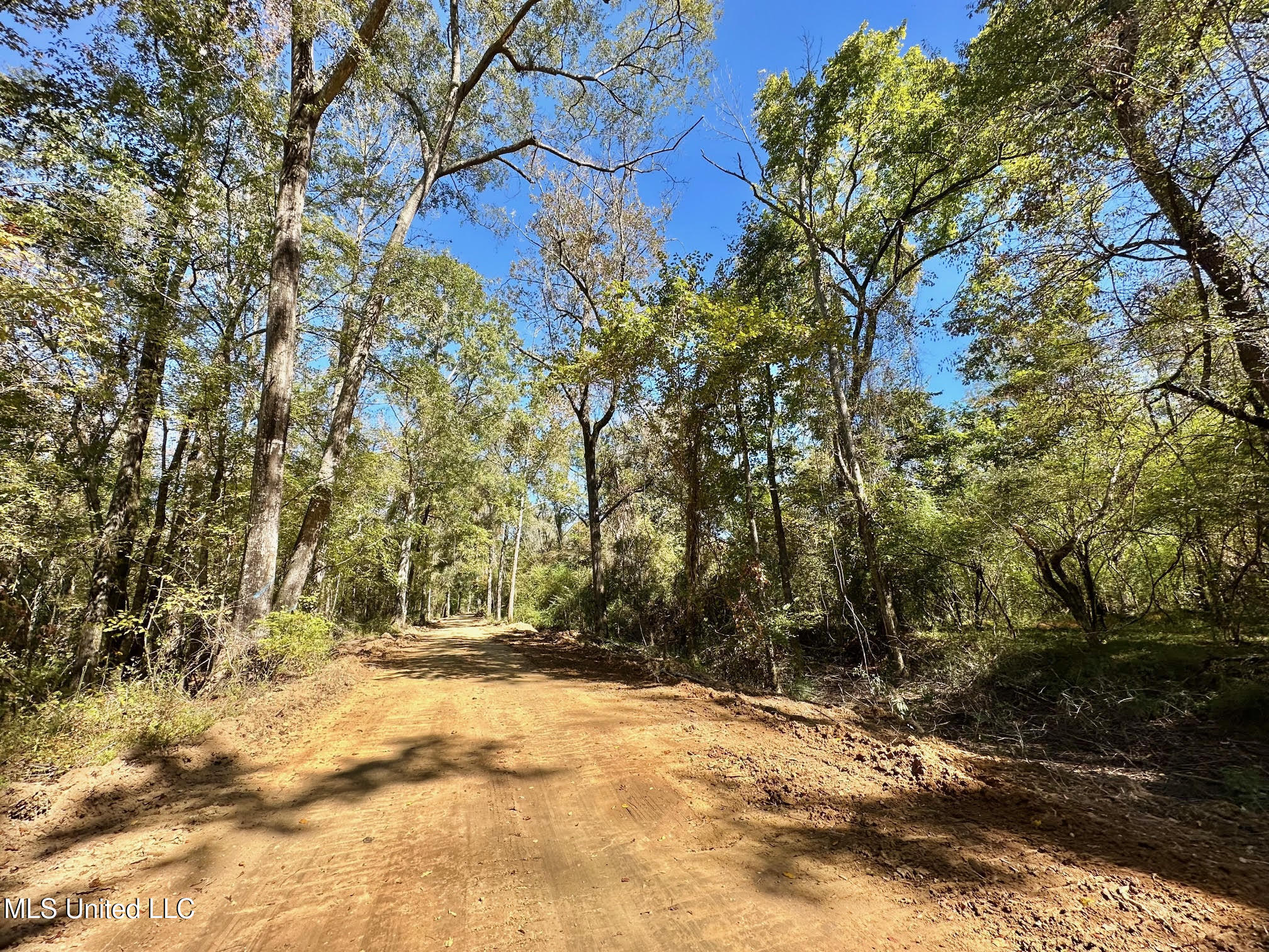1008 Pleasant Lane Wesson, MS 39191 - Photo 19 of 44 316