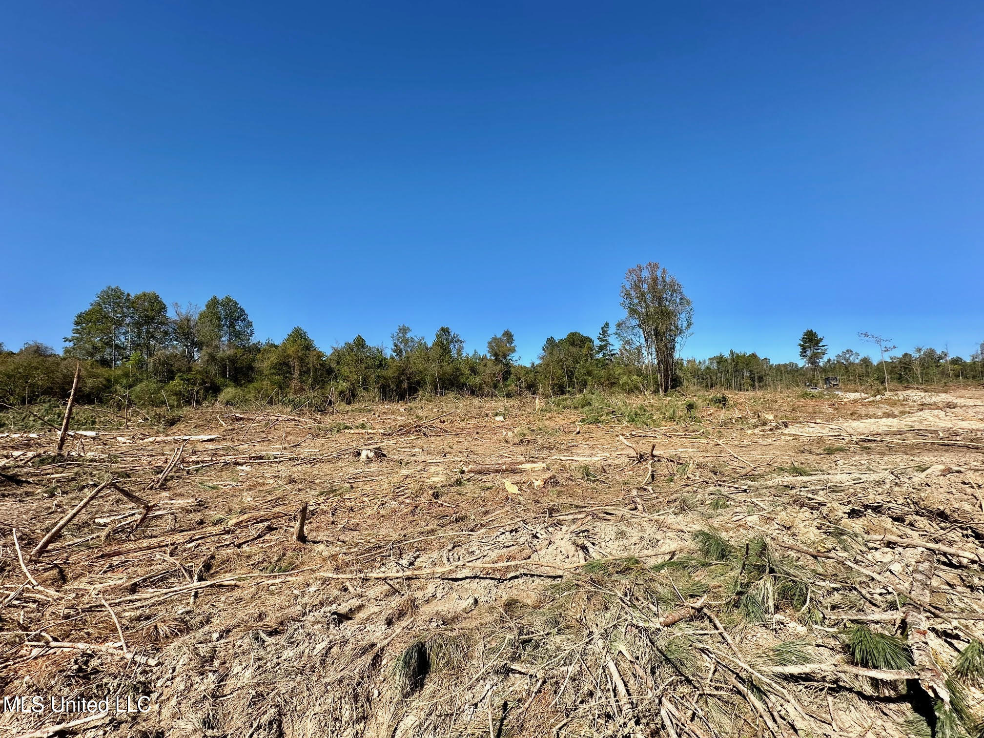 1008 Pleasant Lane Wesson, MS 39191 - Photo 21 of 44 318
