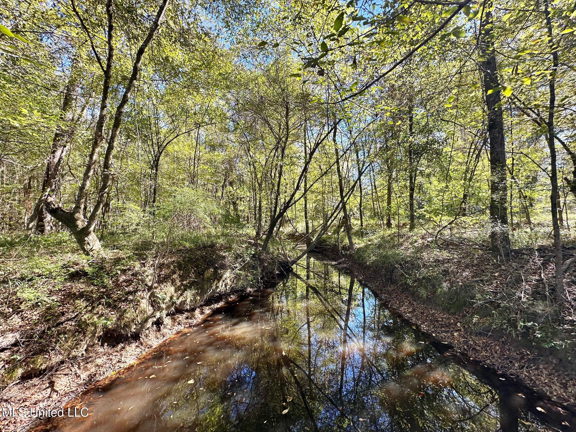 1008 Pleasant Lane Wesson, MS 39191 - Photo 22 of 44 319
