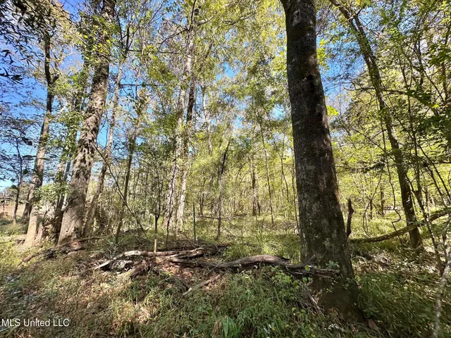 $295,000 | 1008 Pleasant Lane, Wesson, MS 39191