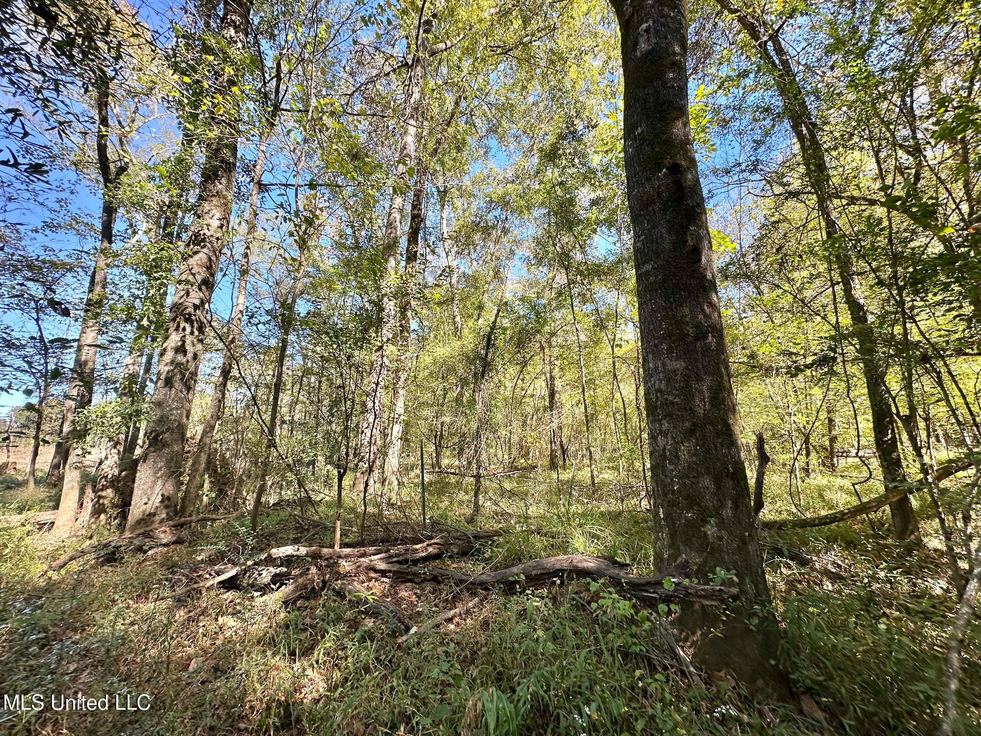 1008 Pleasant Lane Wesson, MS 39191 - Photo 23 of 44 320