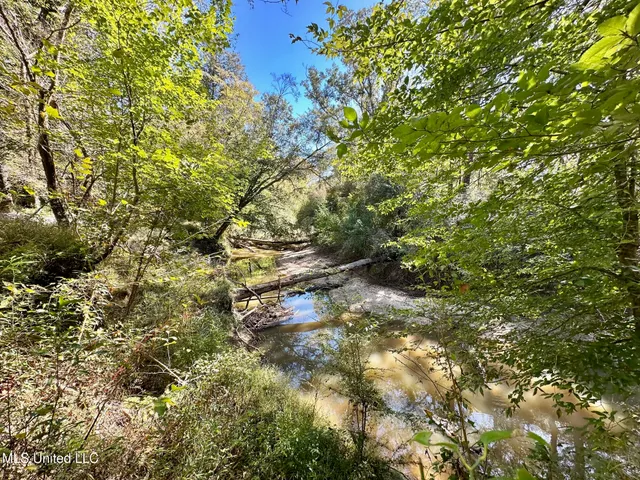 $295,000 | 1008 Pleasant Lane, Wesson, MS 39191