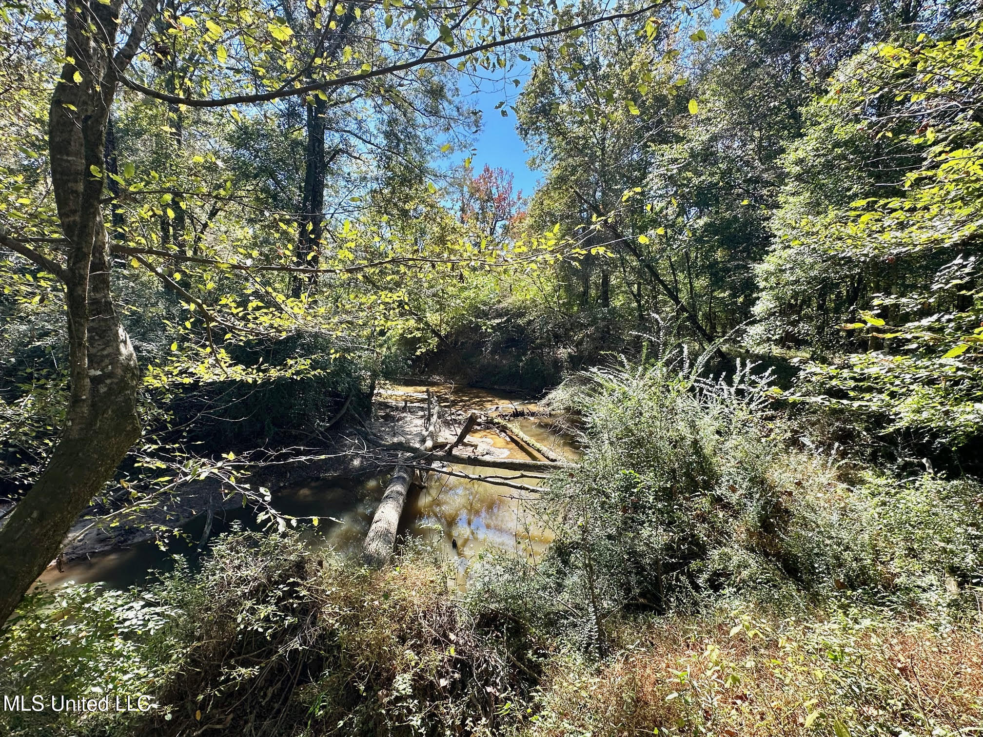 1008 Pleasant Lane Wesson, MS 39191 - Photo 25 of 44 322