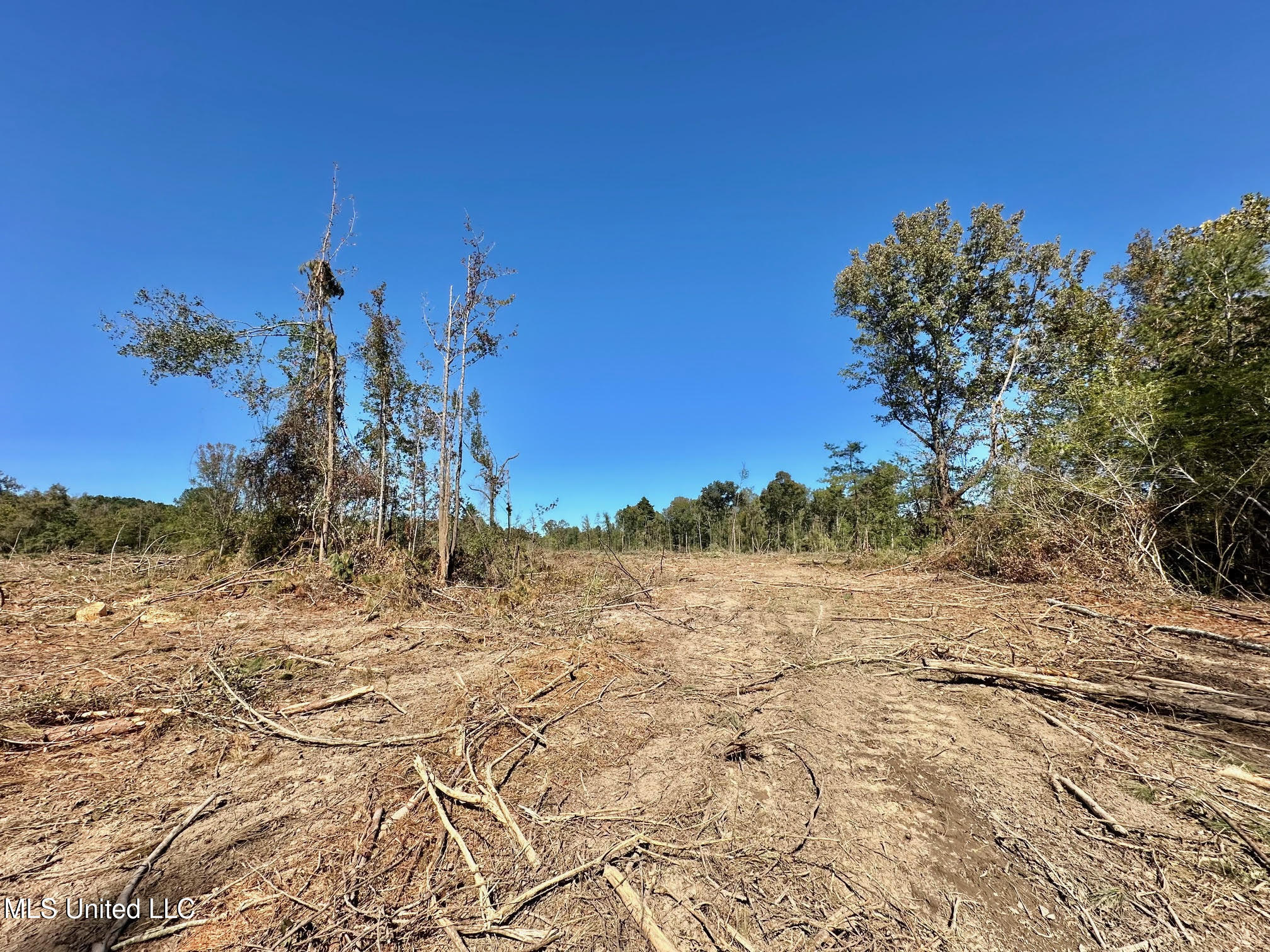 1008 Pleasant Lane Wesson, MS 39191 - Photo 26 of 44 323