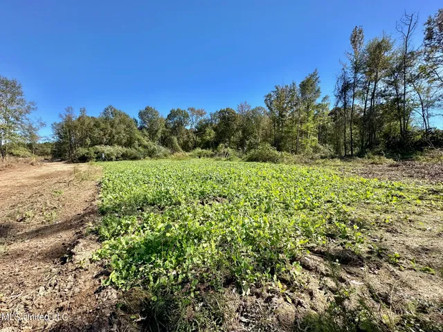 $295,000 | 1008 Pleasant Lane, Wesson, MS 39191