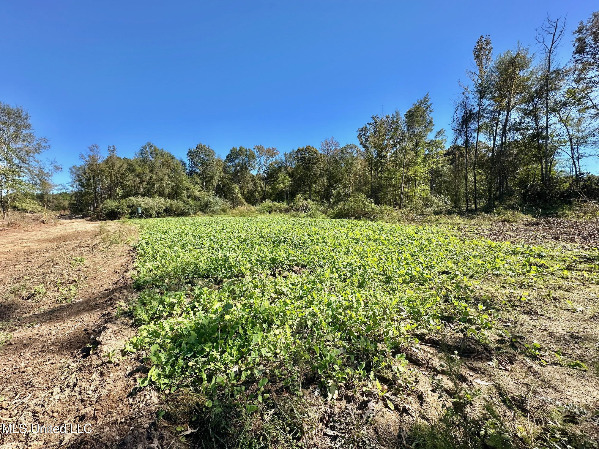 1008 Pleasant Lane Wesson, MS 39191 - Photo 29 of 44 326