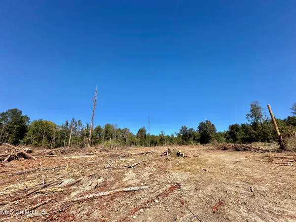 $295,000 | 1008 Pleasant Lane, Wesson, MS 39191
