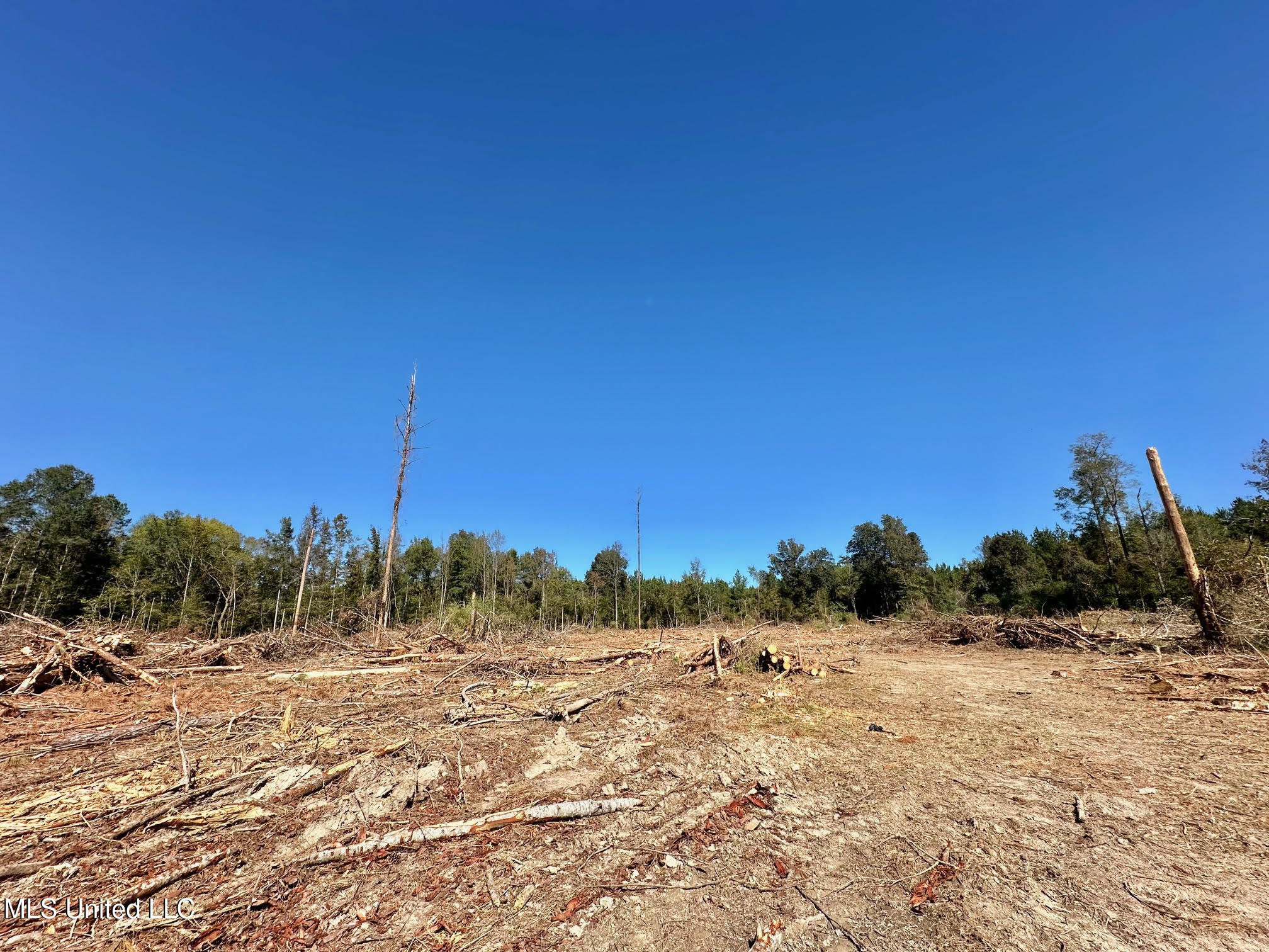 1008 Pleasant Lane Wesson, MS 39191 - Photo 30 of 44 328