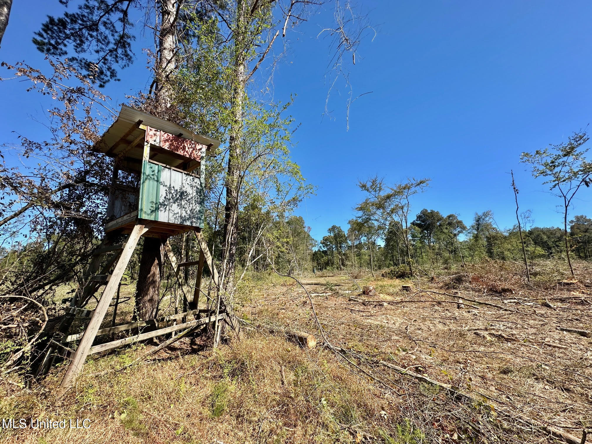 1008 Pleasant Lane Wesson, MS 39191 - Photo 31 of 44 329