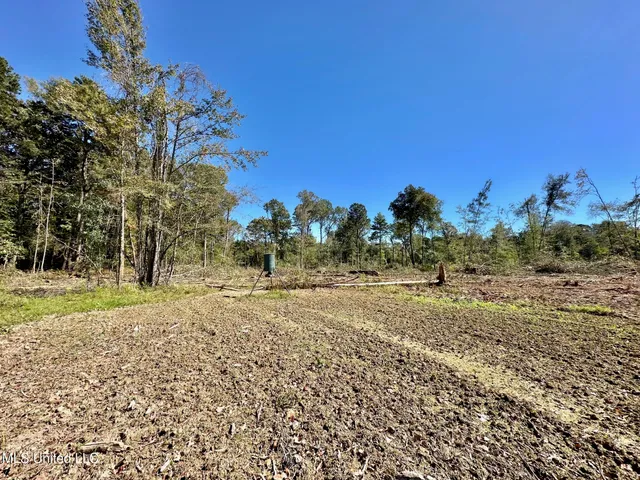 $295,000 | 1008 Pleasant Lane, Wesson, MS 39191