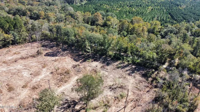 $295,000 | 1008 Pleasant Lane, Wesson, MS 39191