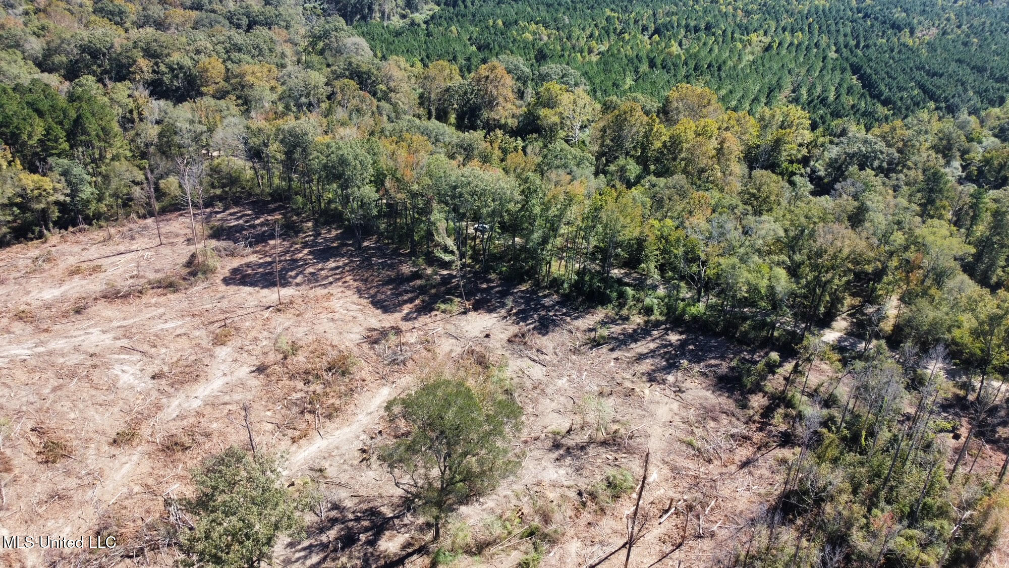 1008 Pleasant Lane Wesson, MS 39191 - Photo 36 of 44 337