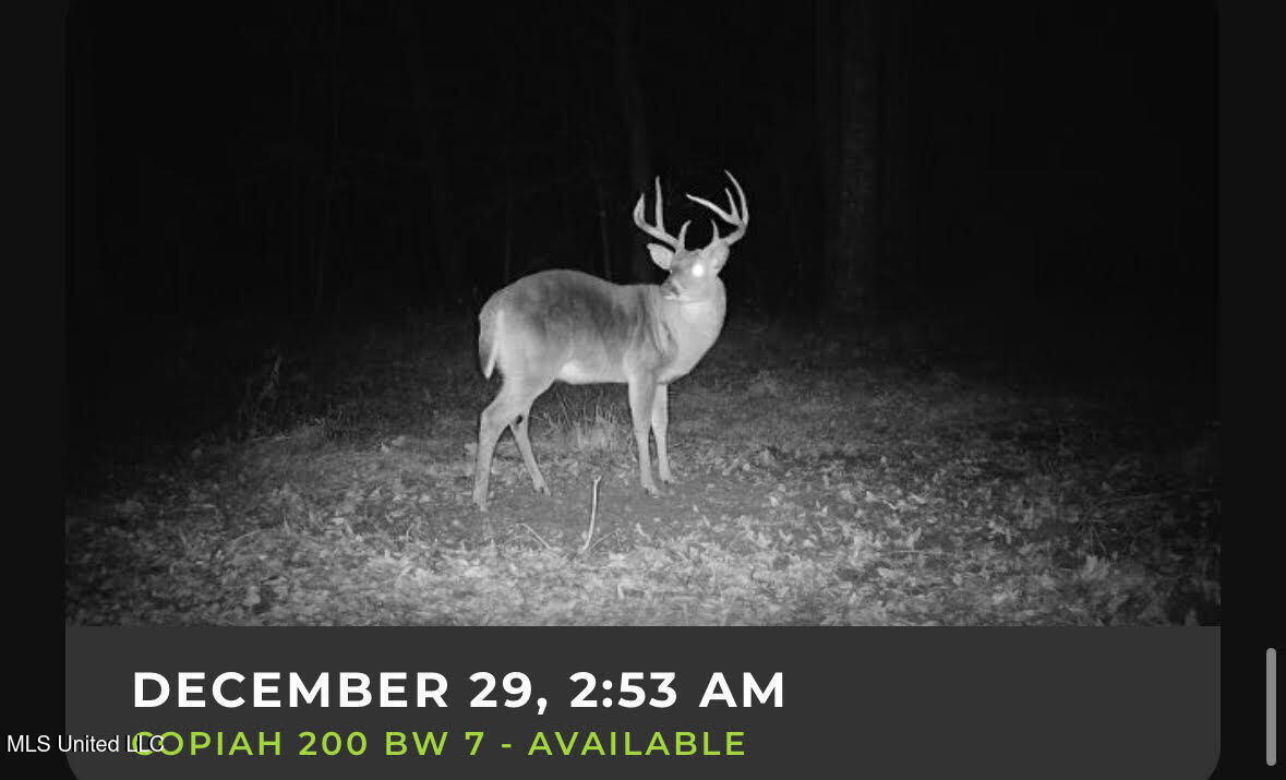 1008 Pleasant Lane Wesson, MS 39191 - Photo 7 of 44 4