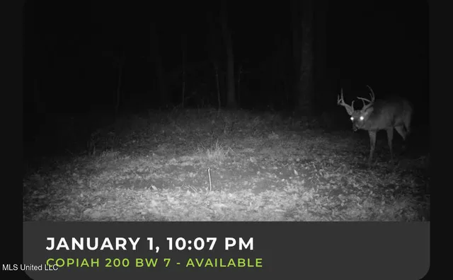 $295,000 | 1008 Pleasant Lane, Wesson, MS 39191