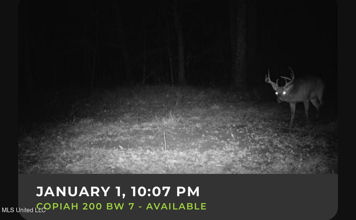 1008 Pleasant Lane Wesson, MS 39191 - Photo 9 of 44 11