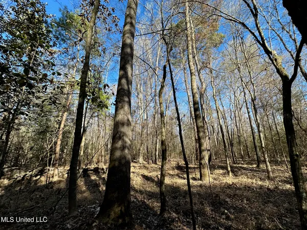 $295,000 | 1008 Pleasant Lane, Wesson, MS 39191