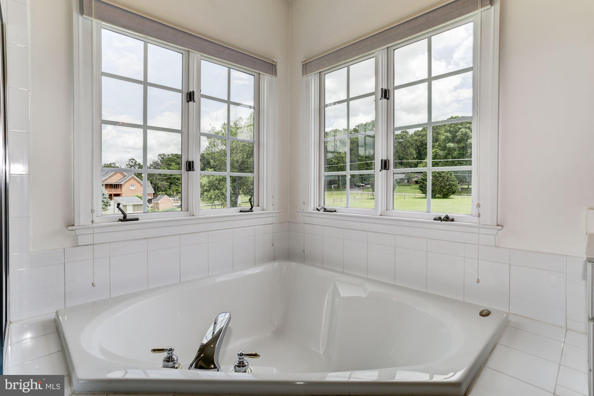 5901 Granby Road Derwood, MD 20855 - Photo 28 of 50 SUNKEN TUB