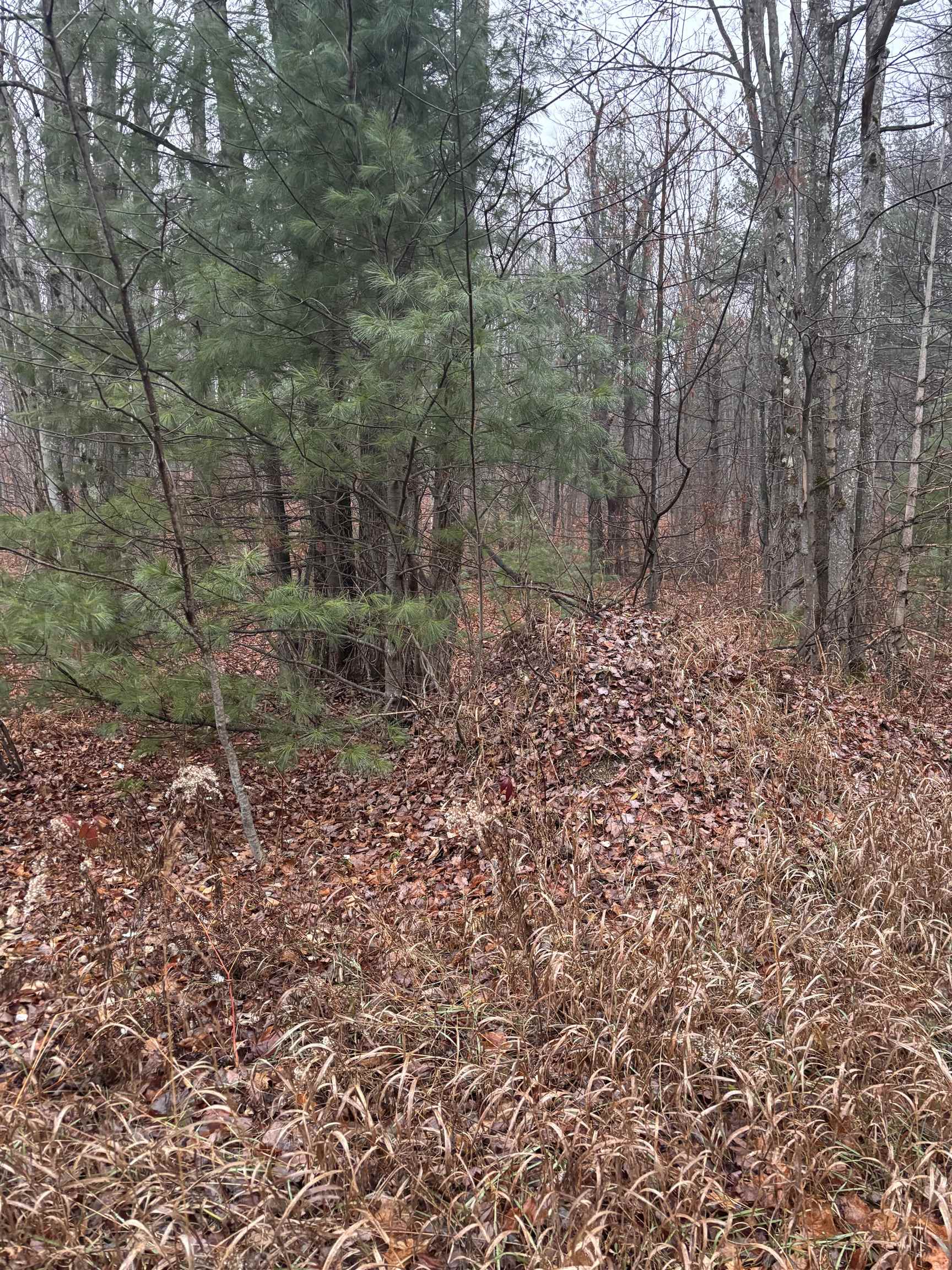 10 Lake Louise Road Interlochen, MI 49643 - Photo 7 of 11