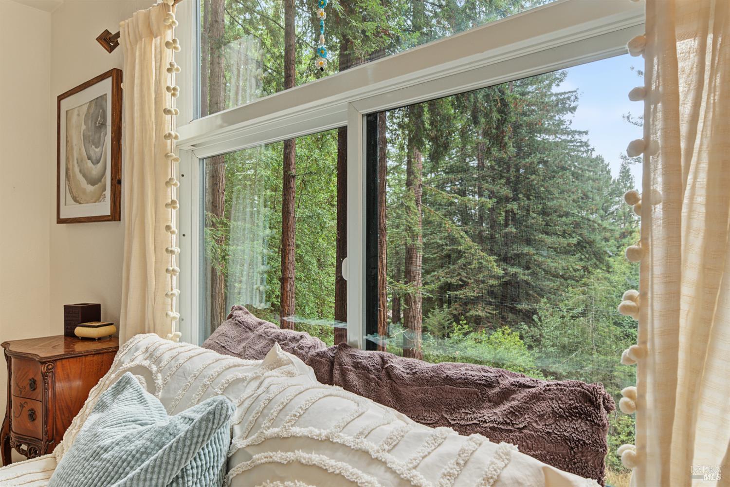 2411 Joy Road Occidental, CA 95465 - Photo 20 of 65 Upstairs bedroom with giant Redwoods in every window