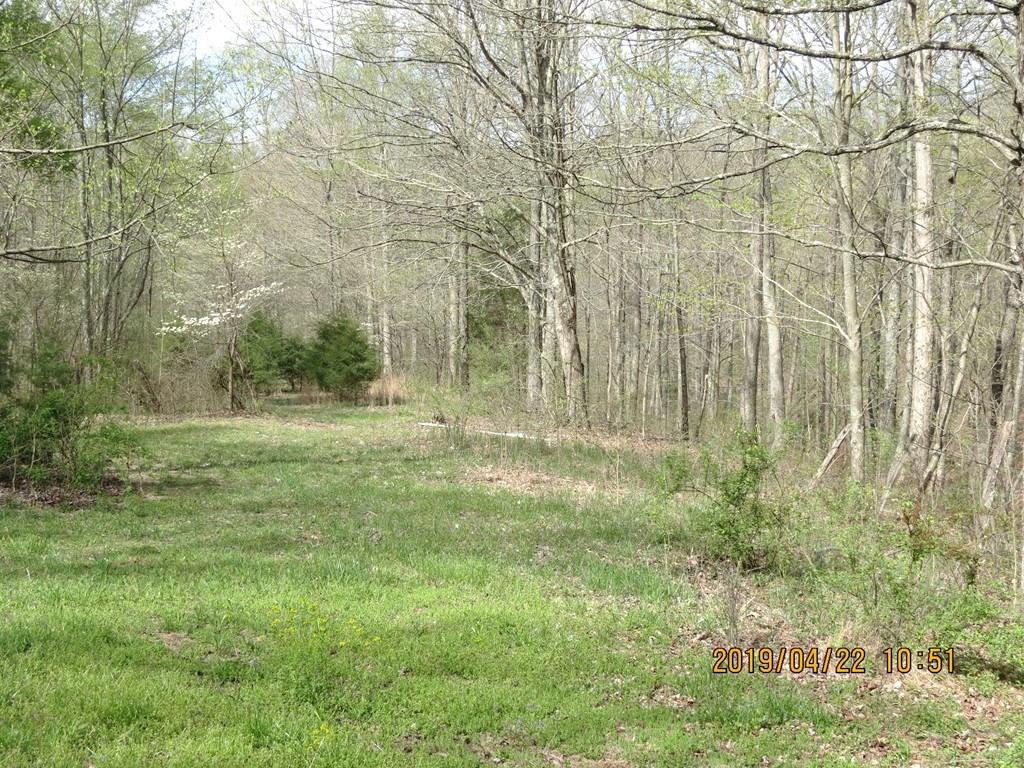 7354 North Oak Ridge Road Morgantown, IN 46160 - Photo 17 of 22 Gallery Image 17