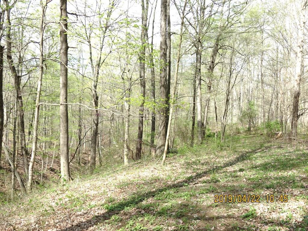 7354 North Oak Ridge Road Morgantown, IN 46160 - Photo 20 of 22 Gallery Image 20