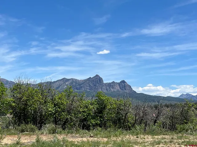 a view of a yard with mountains in the background