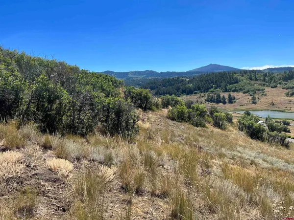 $159,000 | 558 Henry's Lake Drive, Chromo, CO 81128