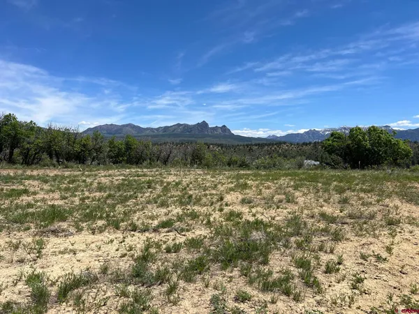 $159,000 | 558 Henry's Lake Drive, Chromo, CO 81128