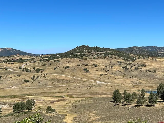 a view of a yard with a tree