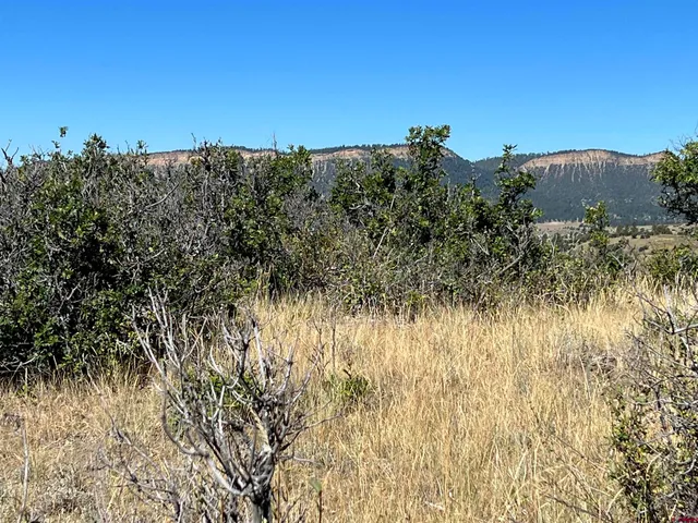 a view of a dry yard with mountains in the background