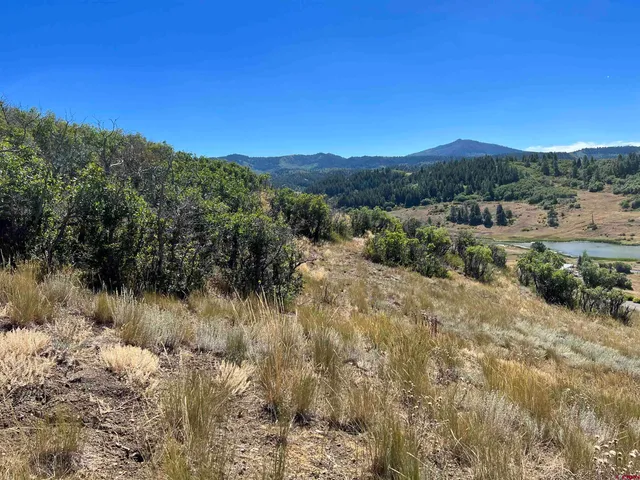 a view of a field with a tree in the background