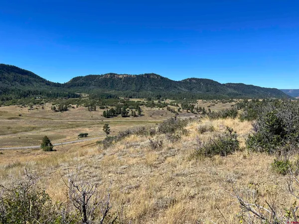 $159,000 | 558 Henry's Lake Drive, Chromo, CO 81128