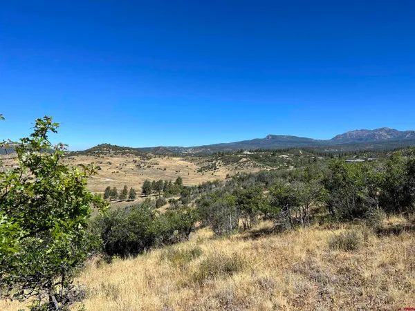 $159,000 | 558 Henry's Lake Drive, Chromo, CO 81128