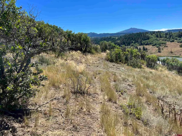 $159,000 | 558 Henry's Lake Drive, Chromo, CO 81128