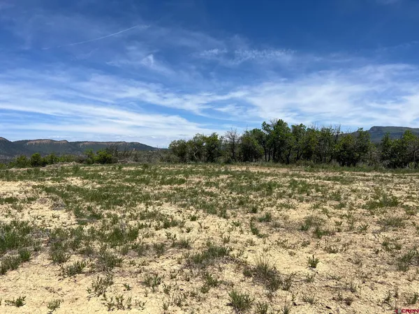 $159,000 | 558 Henry's Lake Drive, Chromo, CO 81128