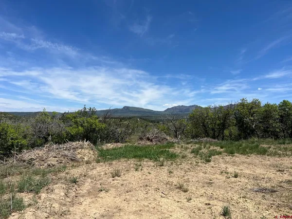 $159,000 | 558 Henry's Lake Drive, Chromo, CO 81128