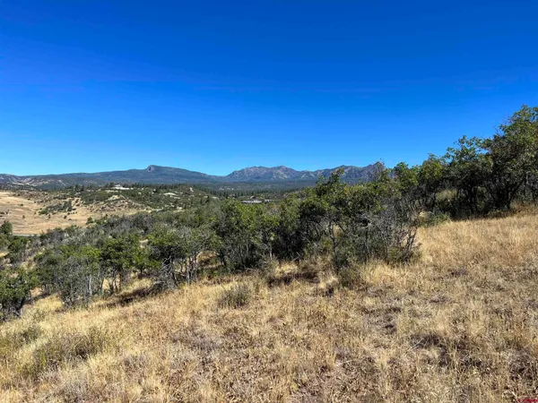 $159,000 | 558 Henry's Lake Drive, Chromo, CO 81128