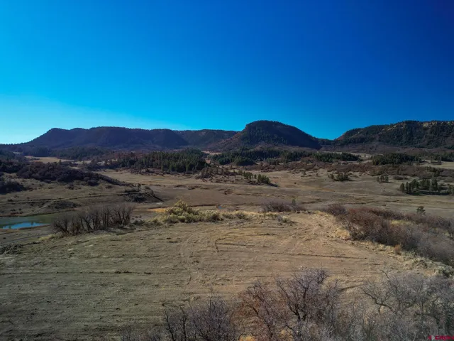 a view of a mountain with a forest