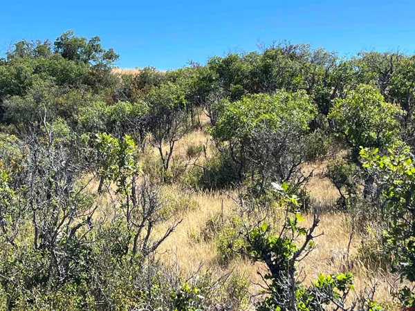 $159,000 | 558 Henry's Lake Drive, Chromo, CO 81128