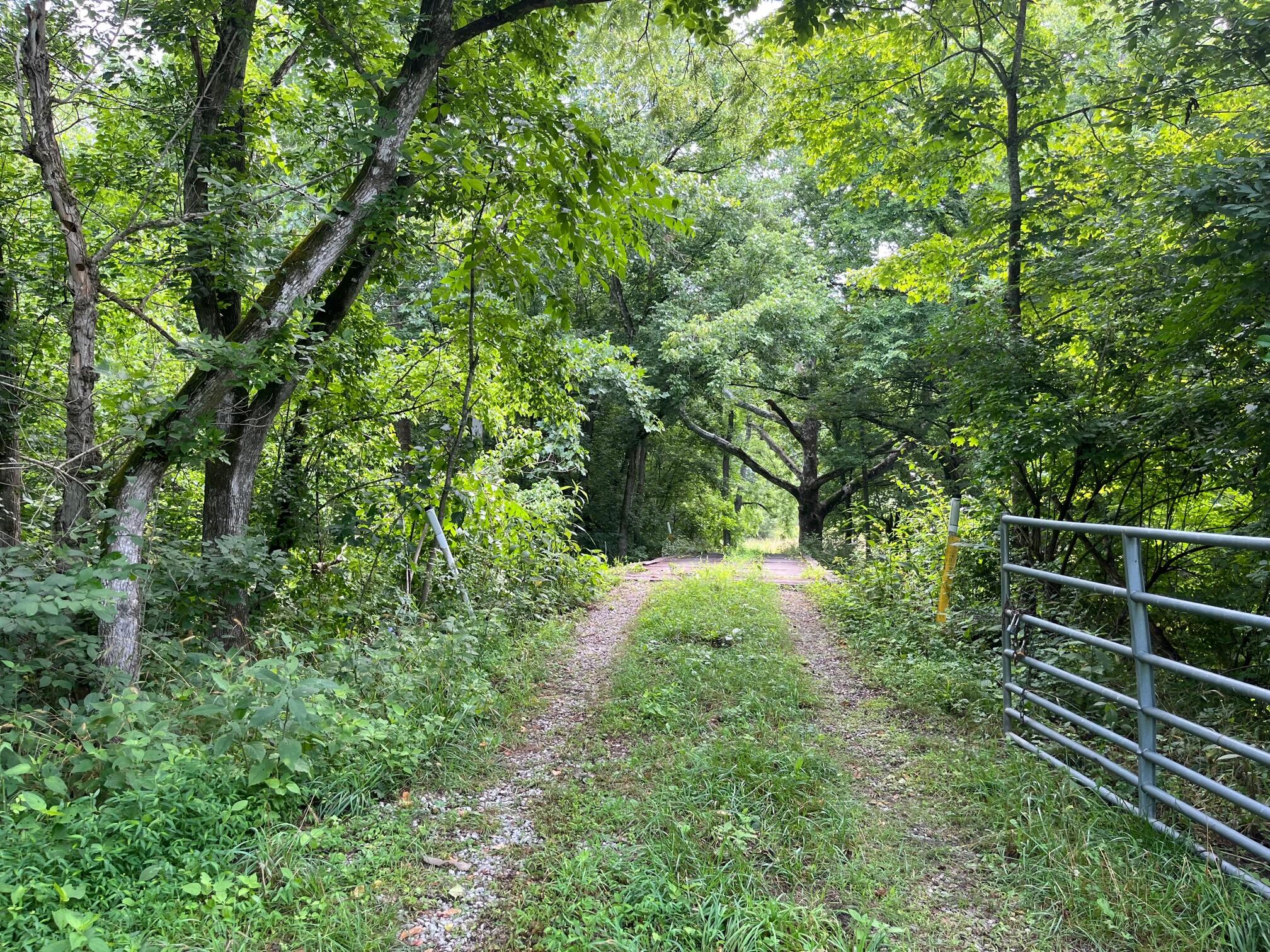 517 Roberts Road Verona, KY 41092 - Photo 4 of 16 Gallery Image 4