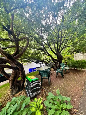 $3,200 | 576 Washington Street, Unit 7, Brookline, MA 02446