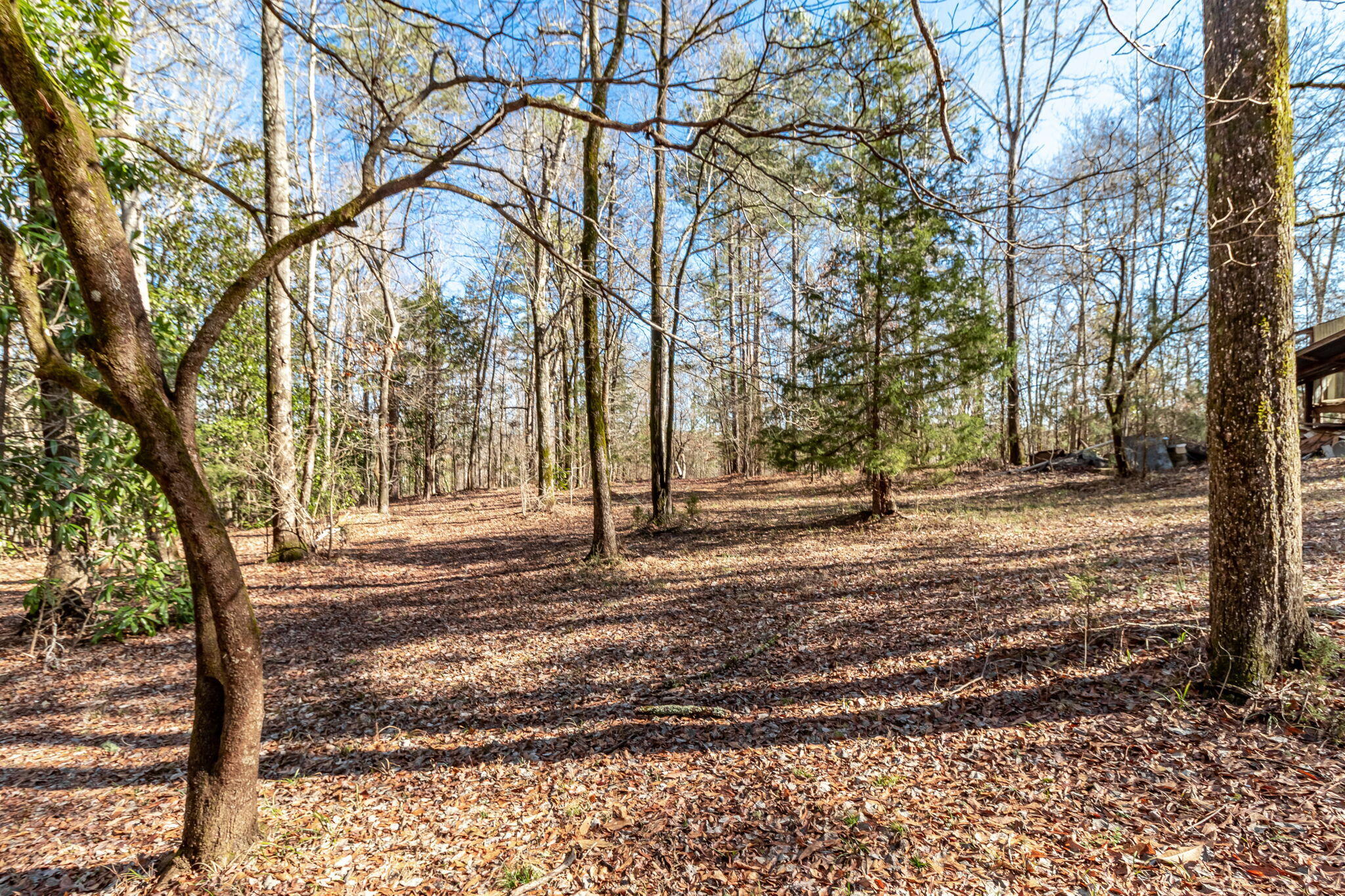 2865 Old Thomson Road Appling, GA 30802 - Photo 38 of 46 44-web-or-mls-2865 OLD THOMSON RD ©-7983