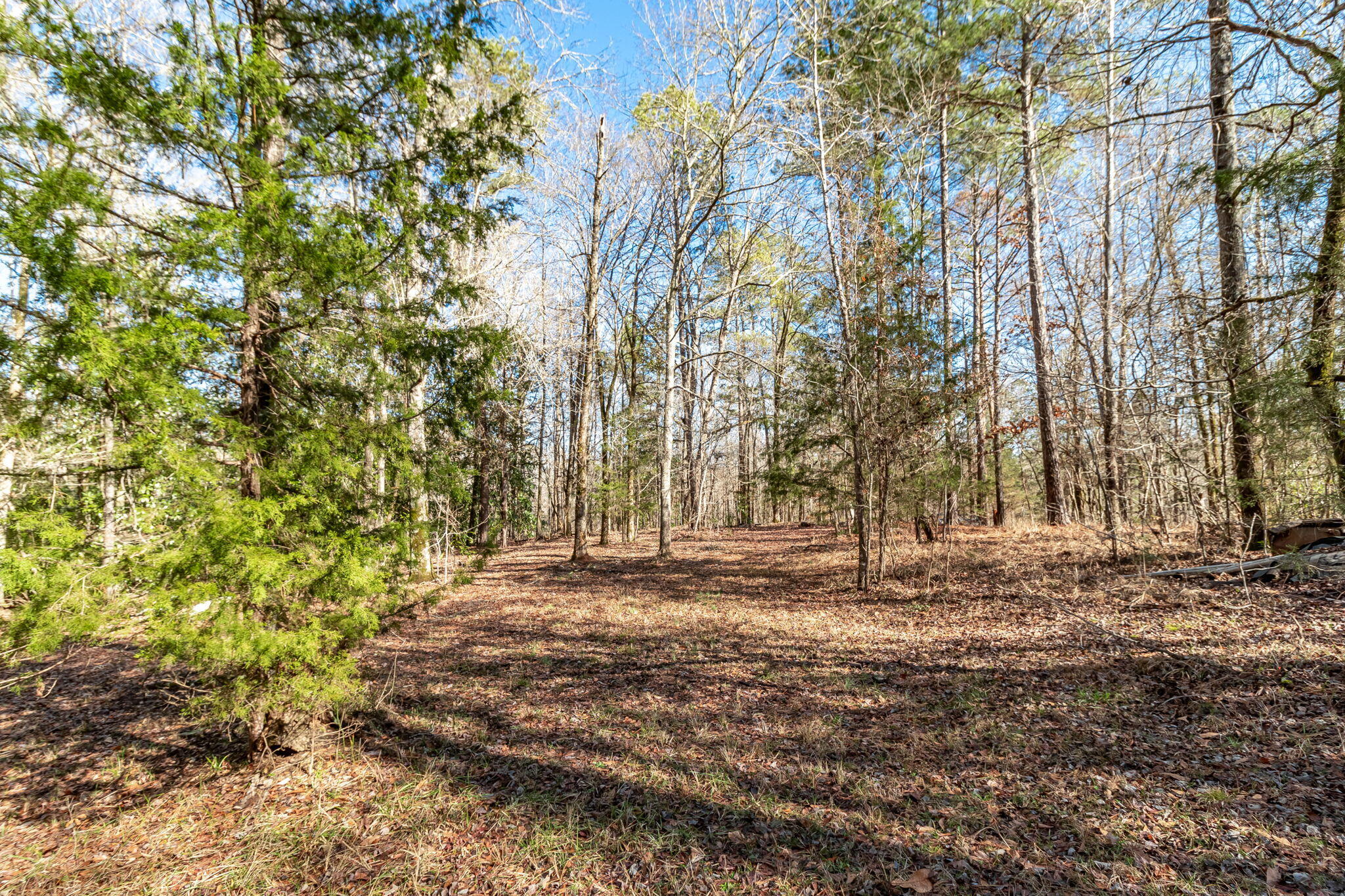 2865 Old Thomson Road Appling, GA 30802 - Photo 39 of 46 45-web-or-mls-2865 OLD THOMSON RD ©-7984